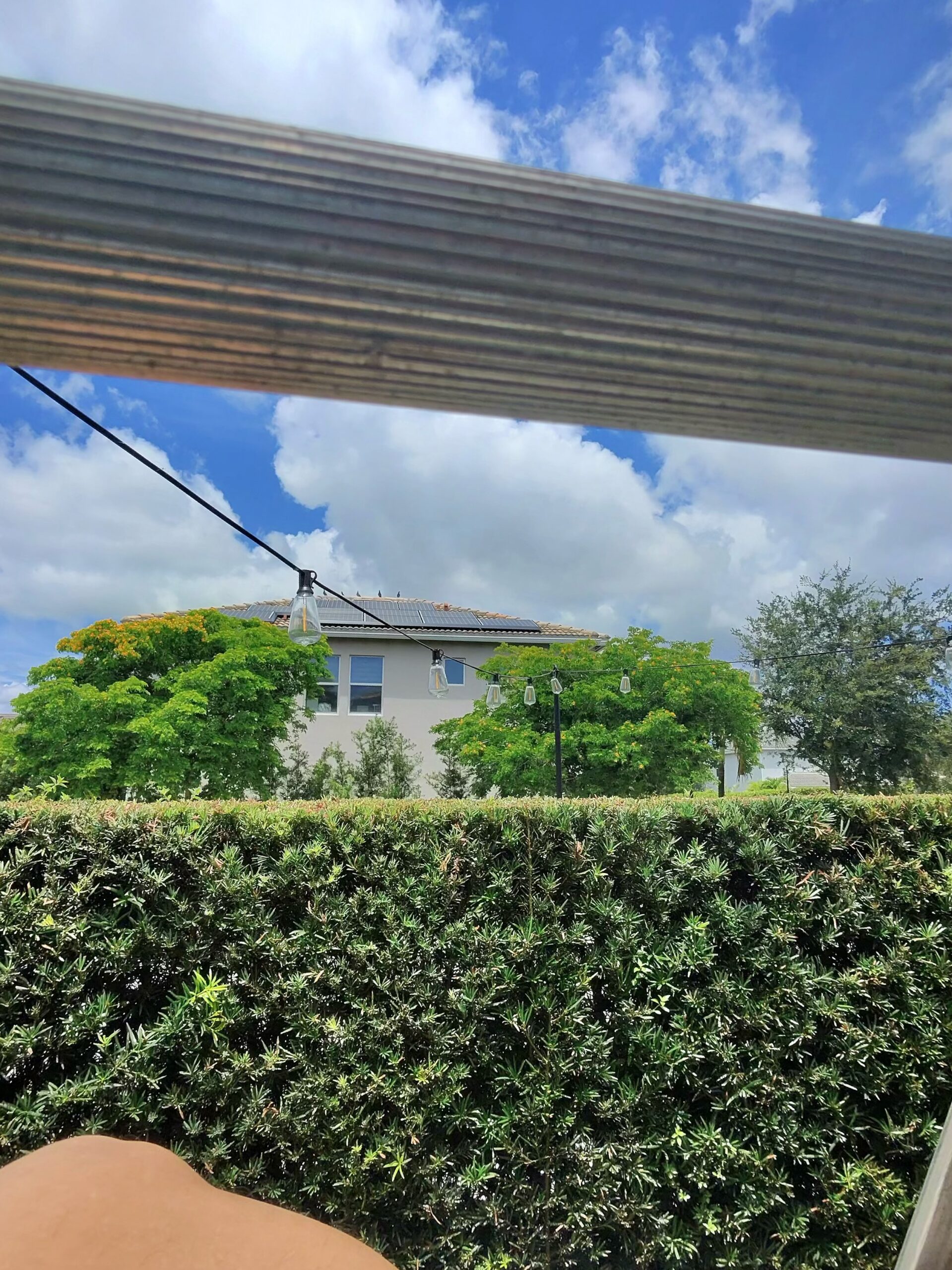 Two birds watching StratoClean perform nest removal and bird-proofing under their solar array